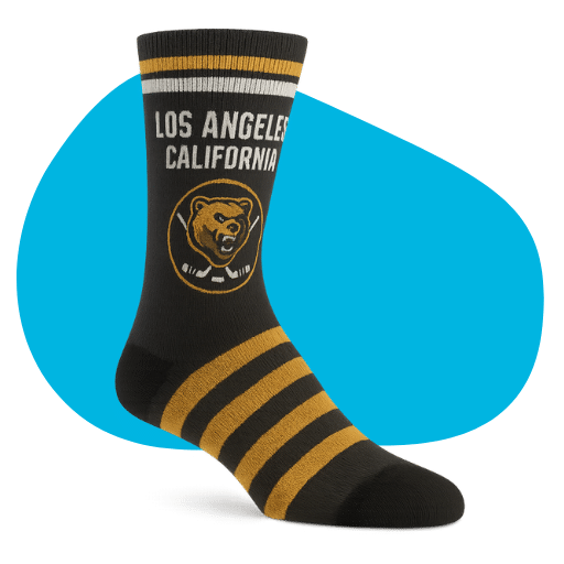 Team Skate Socks